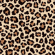 Leopard Print
